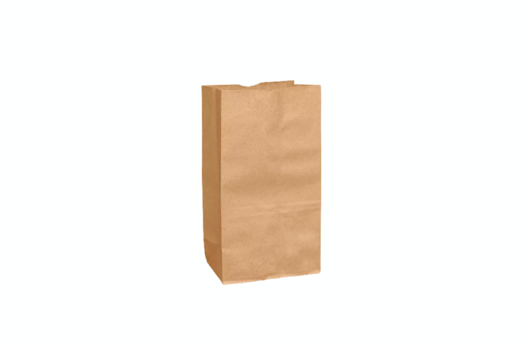 BOLSA KRAFT NUM.4 100 PZS