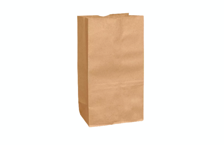 BOLSA KRAFT NUM.5 100 PZS