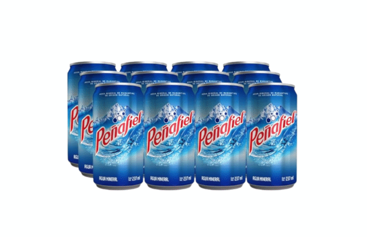 PEÑAFIEL MINERAL 12 PACK - 237 ML